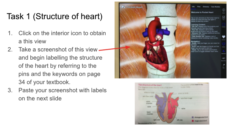 mmeetk's tweet photo. Year 8 Science - Circulatory System - students studied the structure of the heart and watched the heart pumping blood through virtual learning using Augmented Reality - Pocket Heart app. #his_learning https://t.co/oiAh8bVl2i