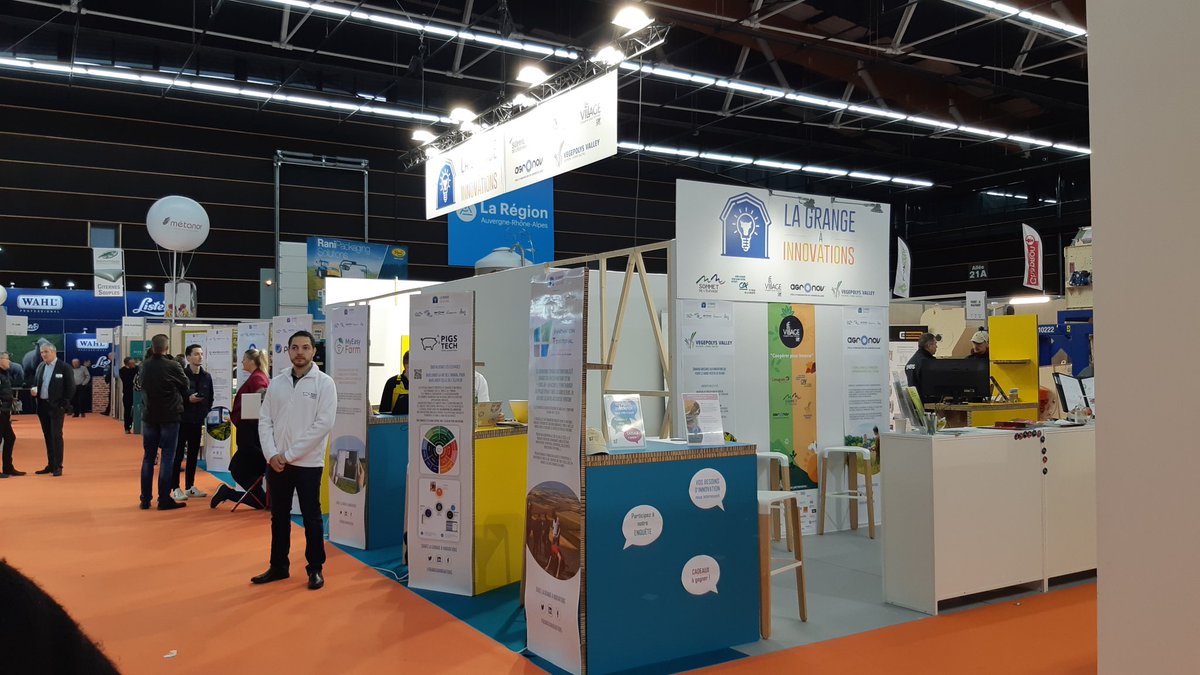 VEGEPOLYS VALLEY tweet media