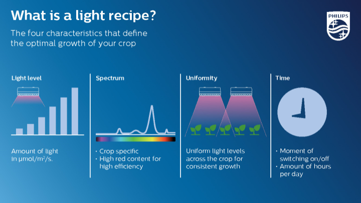 PhilipsHorti's tweet photo. You might have heard us mention our 'light recipes' before, but what are these recipes exactly? Let us explain, read more in this article https://t.co/6714pwRY8o #growwiththepros #LEDgrowlights #lightrecipe https://t.co/NLL5ilA3HM