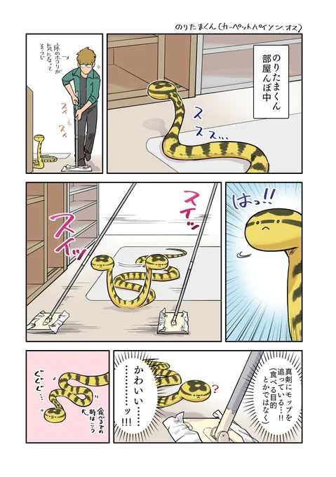 フローリングモップとカーペット 