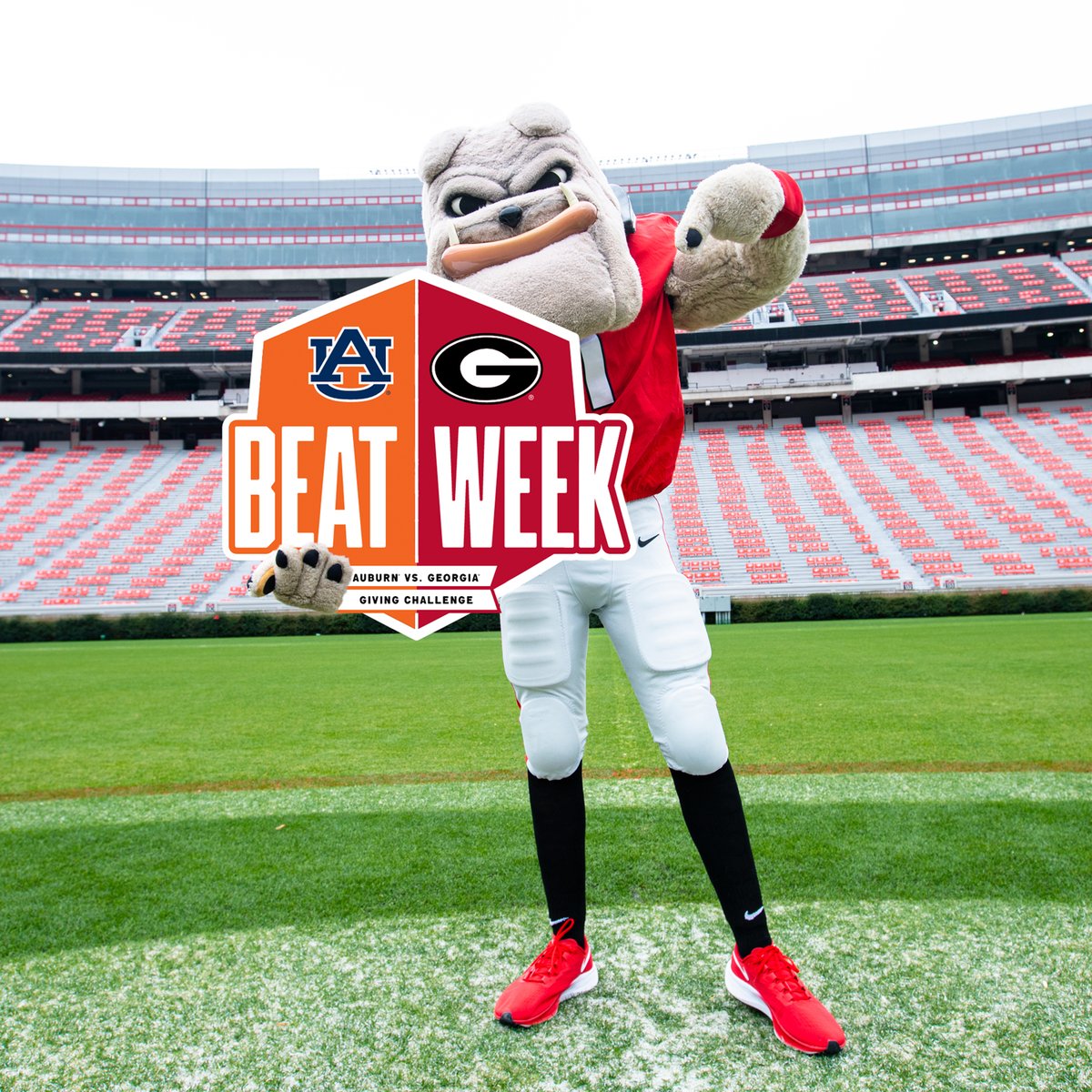 Hairy Dawg says things are looking good but we've had leads on Auburn before. Let's finish the drill on Beat Week and make it two in a row vs. the Tigers. #BeatAuburn #GoDawgs 

🔗 ow.ly/gedp50GmR2F