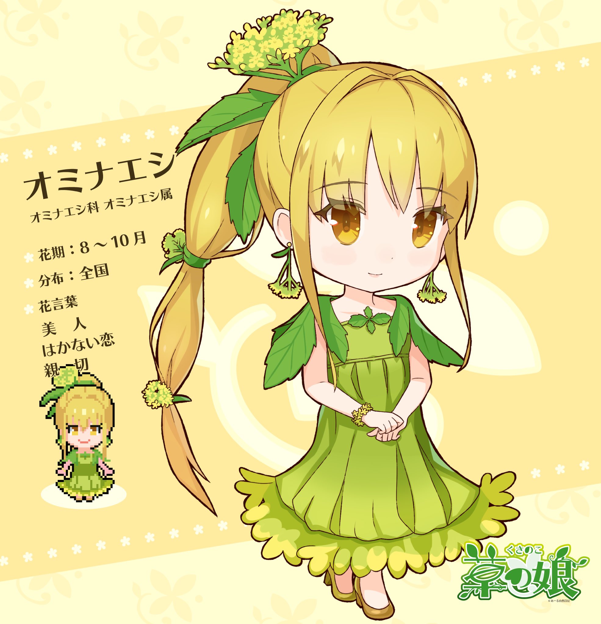 あーる自然日記 草の娘 オミナエシ 秋の七草のひとつで すらっと伸びた茎の先に多数の黄色の花をつける 和名は女郎花と書いて 由来は女郎飯説と をみな圧し説がある 綺麗な花だけど 独特な匂いがする 秋の七草 オミナエシ 草の娘 T Co