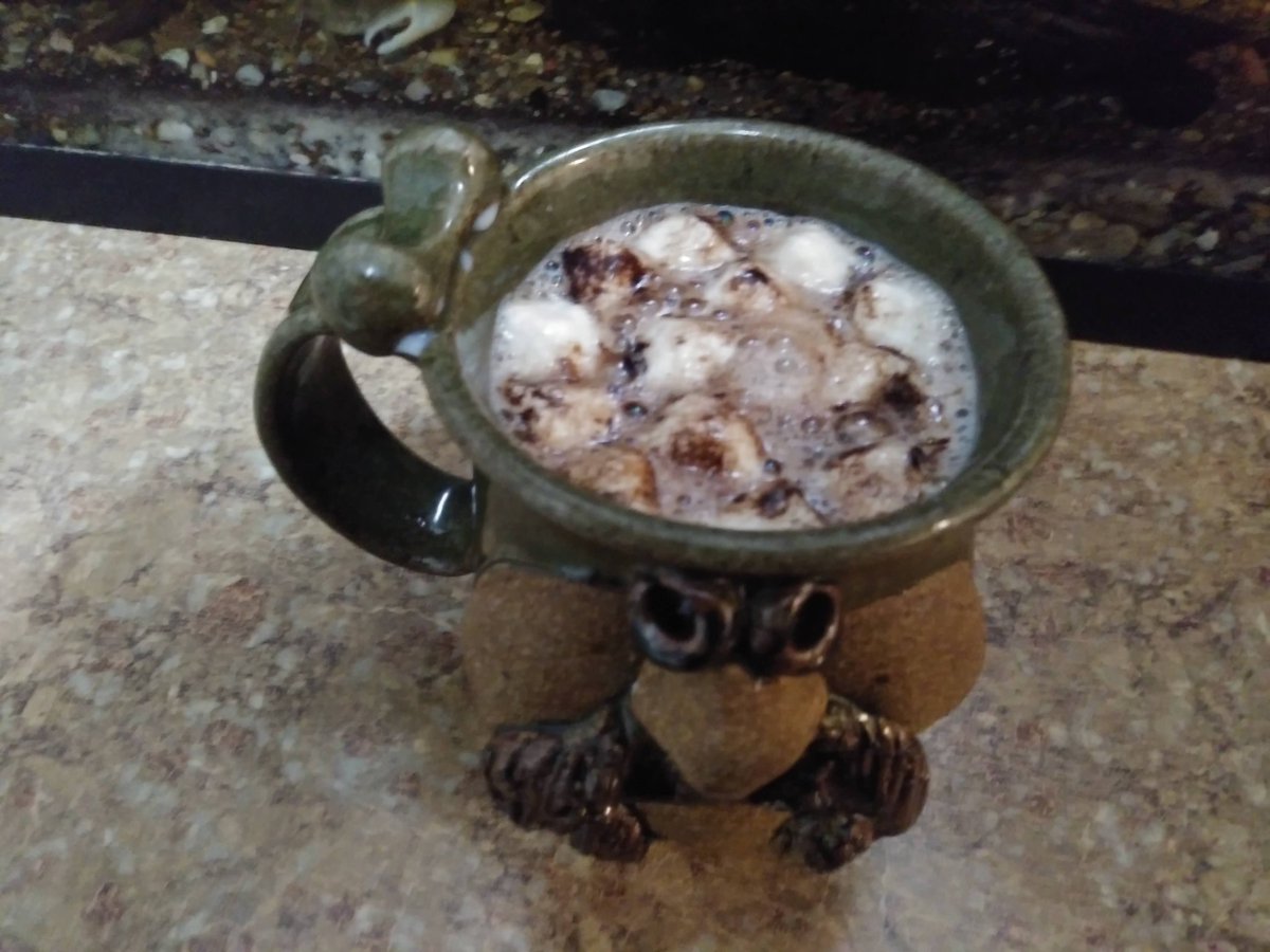 This came up in my memories on Google Photos. 
Thanks, Murtle's Chocolates for the hot cocoa bomb, I could use another one on this cold, damp day.
#HotCocoa #chocolate #Owosso