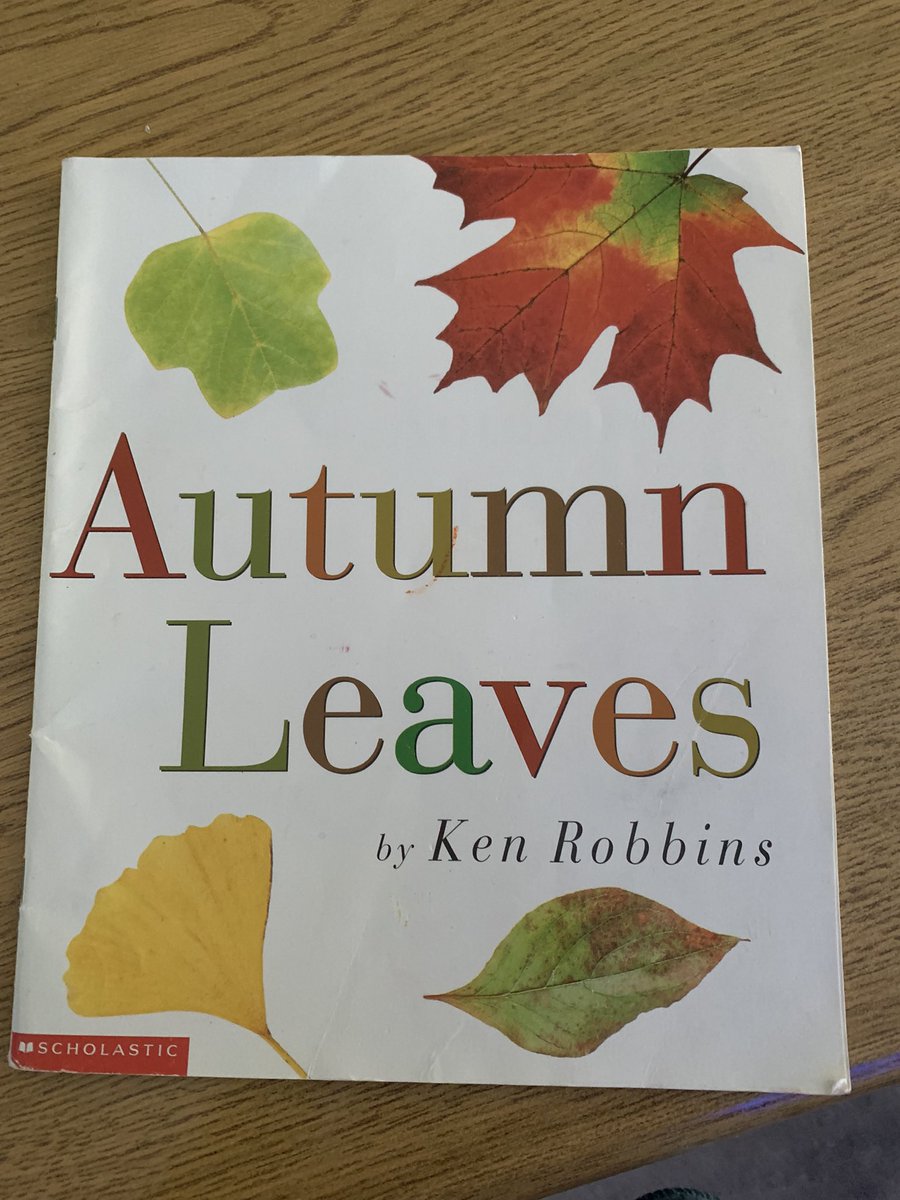 MsKShultz's tweet photo. Outdoor exploration in Grade 3! We read a book about Fall and types of leaves. S’s collected leaves and investigated what type of leaf they found. We did some fun sketching and drawing too! #hellofall #outdoorlearningfun @PolsonPark_LDSB https://t.co/Ib2XhpdzW8