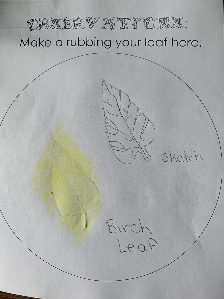 MsKShultz's tweet photo. Outdoor exploration in Grade 3! We read a book about Fall and types of leaves. S’s collected leaves and investigated what type of leaf they found. We did some fun sketching and drawing too! #hellofall #outdoorlearningfun @PolsonPark_LDSB https://t.co/Ib2XhpdzW8