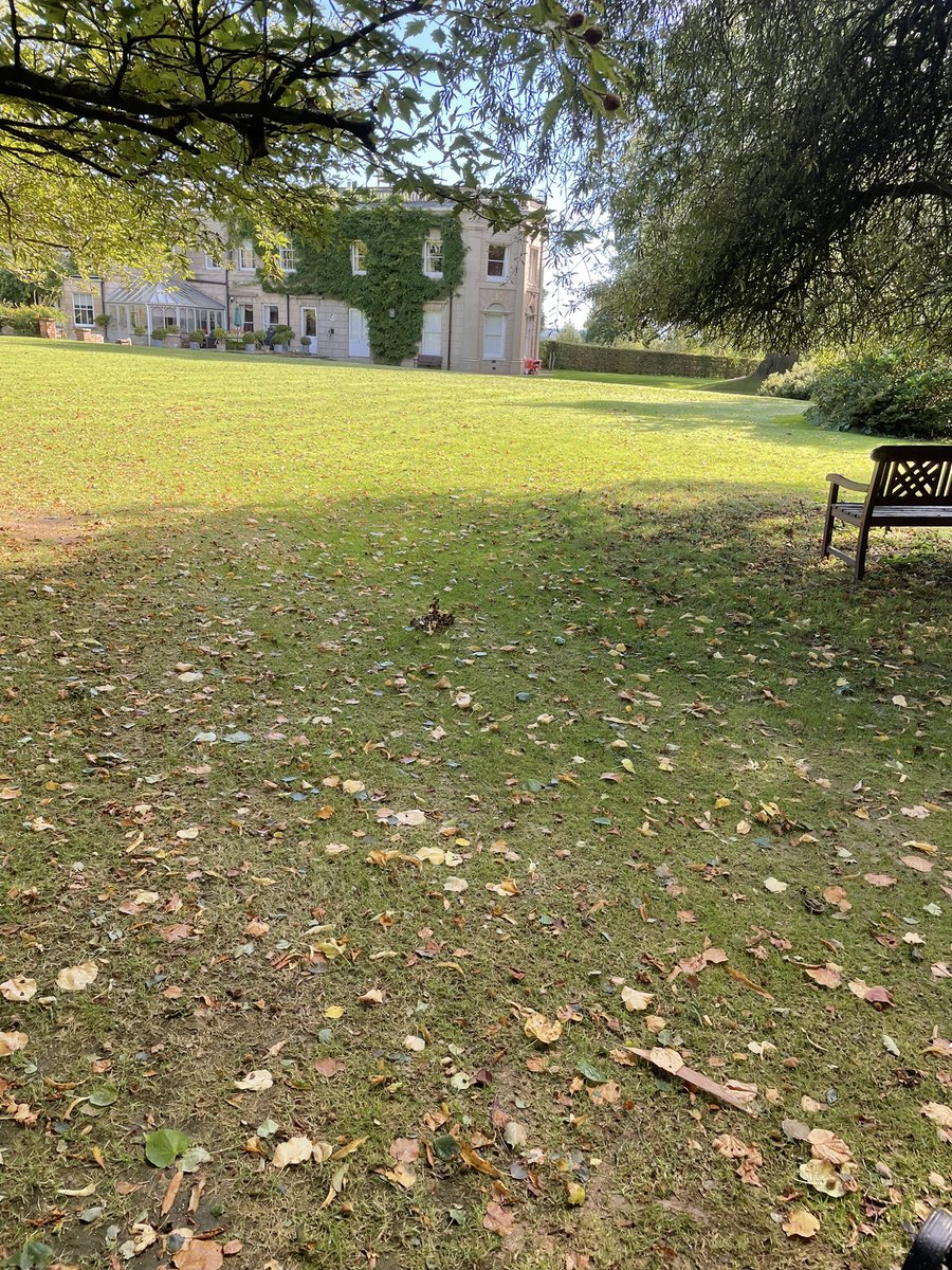 AndiSmiler's tweet photo. Before and After the Clear up using @HayterMowers Harrier and the @iseki_uk Mighty Magnificent SXG323.. Reasonably Dry Under Wheels too! #indiansummer #Autumnshere https://t.co/acUaV09jJ1