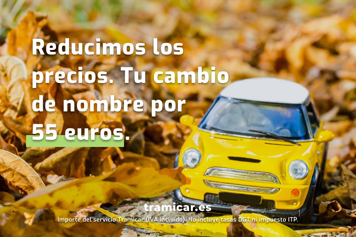 TramicarES's tweet photo. Comodidad, seguridad y rapidez son son solo algunas de las ventajas de realizar la transferencia de tu vehículo con #Tramicar, de forma 100% online y a un precio inmejorable.
El precio incluye IVA. No incluye la tasa DGT ni el impuesto ITP. 
🌐 Entra en https://t.co/ab7QhiDmTw https://t.co/H7ytdkR7gs