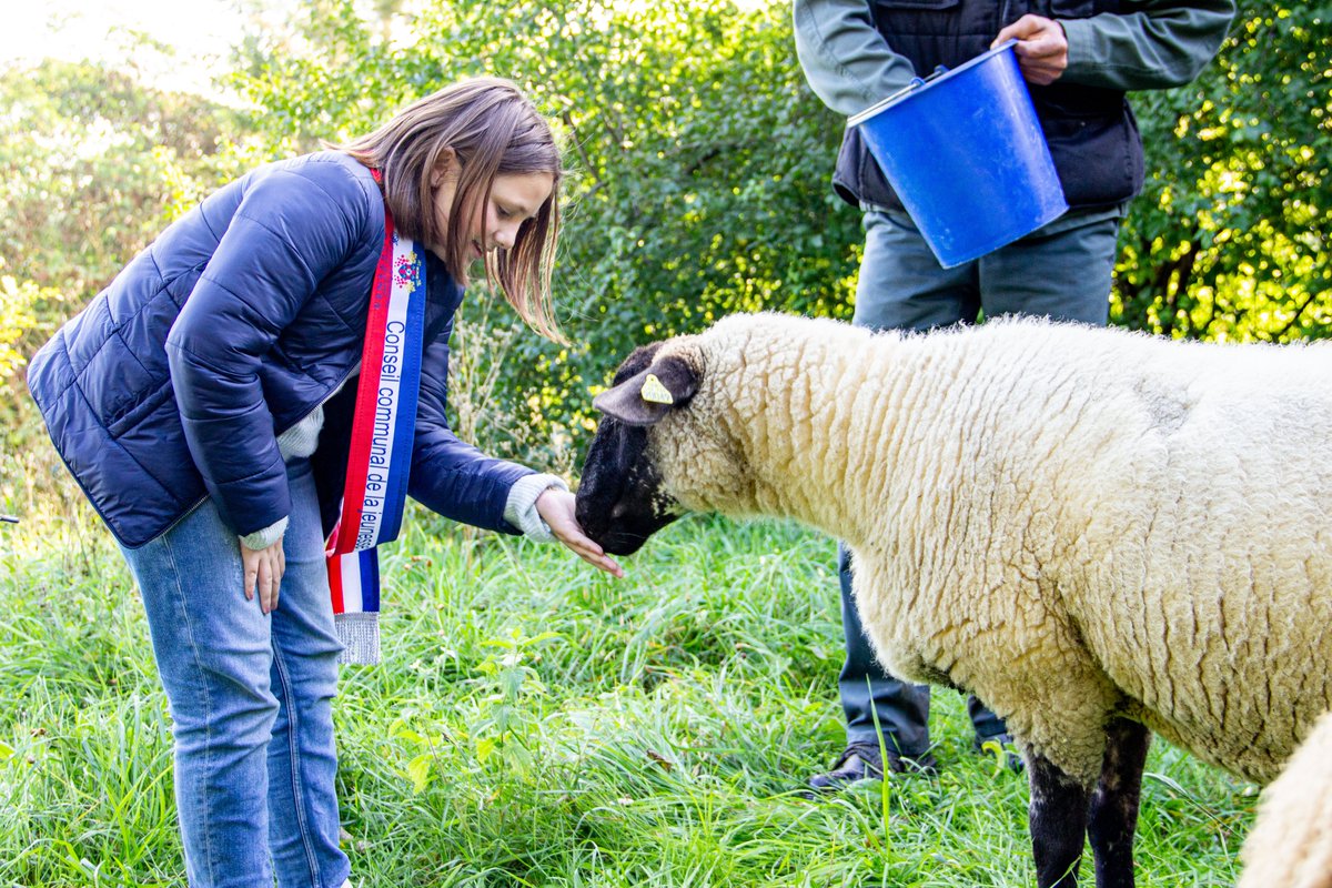 villedesuresnes's tweet photo. Lors du #budgetparticipatif de #Suresnes, Jean-Pierre et le Conseil Communal de la Jeunesse avaient proposé de faire venir quelques semaines par an des moutons dans les espaces verts du Mont-Valérien afin de les faire pâturer et d'entretenir les espaces de façon naturelle.
(1/3) https://t.co/YRnrDbpSki