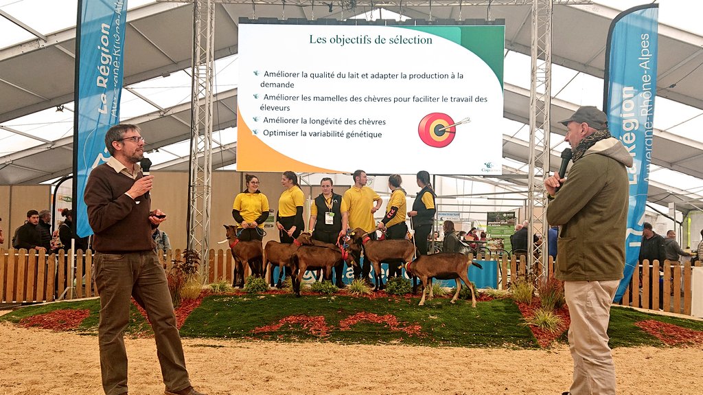 EleveursChevres's tweet photo. 📣 La filière laitière caprine monte sur le ring pour la présentation des alpines et saanens avec @capgenes, et un zoom sur la filière régionale #AURA par le @CrielAMC 🐐 

📌 Rendez vous sur le stand de l'@anicapfr au hall 5 @SommetElevage 🐐

#chèvre #caprin #SommetElevage https://t.co/I4LJ2ftOM9