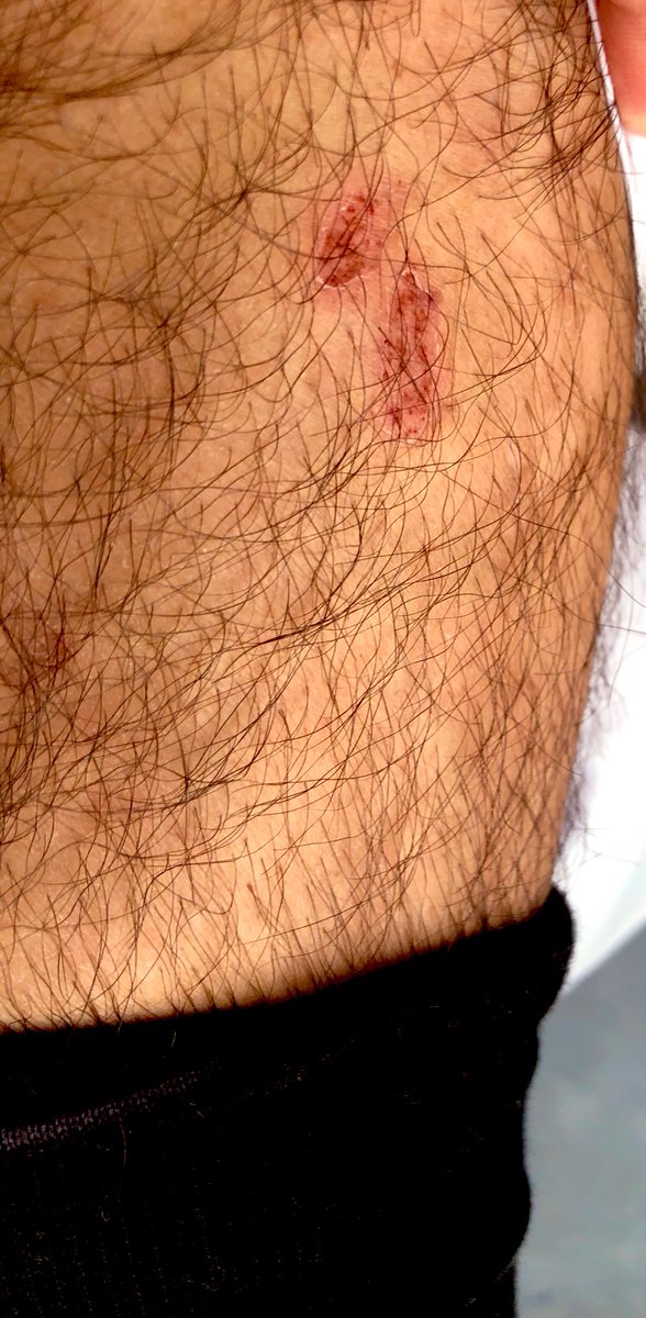 الدكتور كمال أيوب 🇸🇦L222.2 tweet media