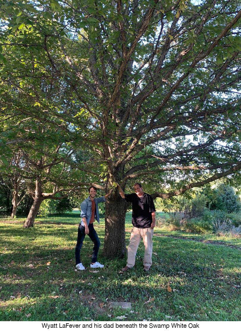 Honoring_Future's tweet photo. @ISCEventPlanner …The Swamp White Oak tree in all its glory! We were so thankful to have had the opportunity to work with Professor @marcwhitt and UK Arboretum Director Molly Davis on this project! #HonoringTrees https://t.co/r0lpLb1swK
