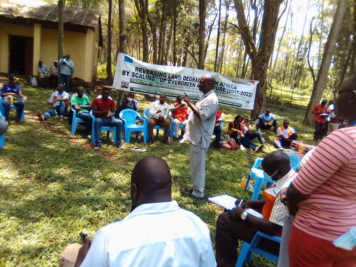 AluoraC's tweet photo. Doing it right for Homabay County at Labwe Forest kamato area
@treesforthe 
@AluoraC 
@activistaHBay 
@eco_vistaKe 
@onjolo_kenya 
@WakioDorcas 
@EastInforse 
@HomaBayGovt 
@gp_kenyagroup 
@redmayne_robert https://t.co/IrvOhBHpnl