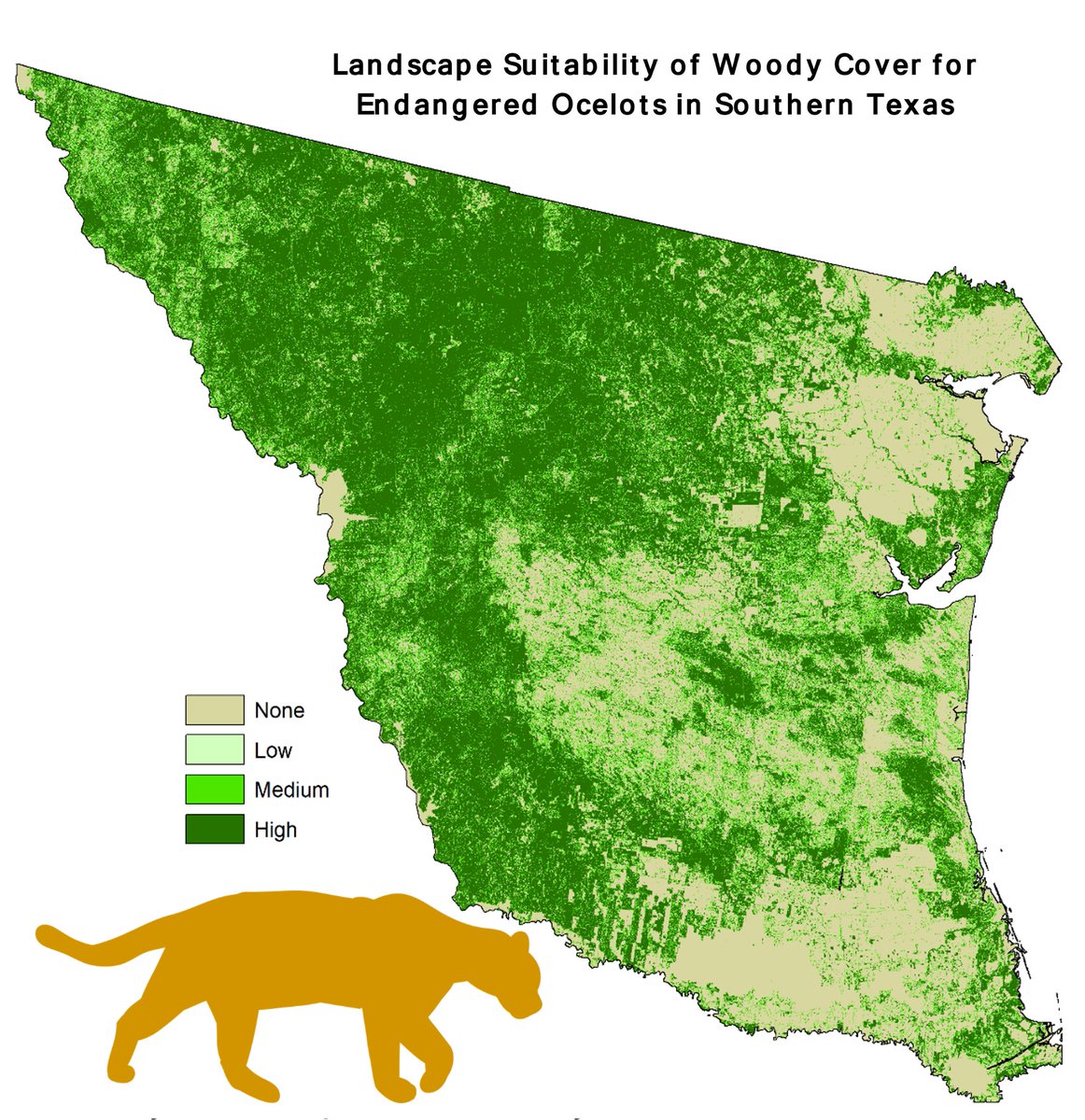 🚨 New publication alert 🚨
#ocelots #texas #landscapesuitability #remotesensing #carnivores 

mdpi.com/2072-4292/13/1…