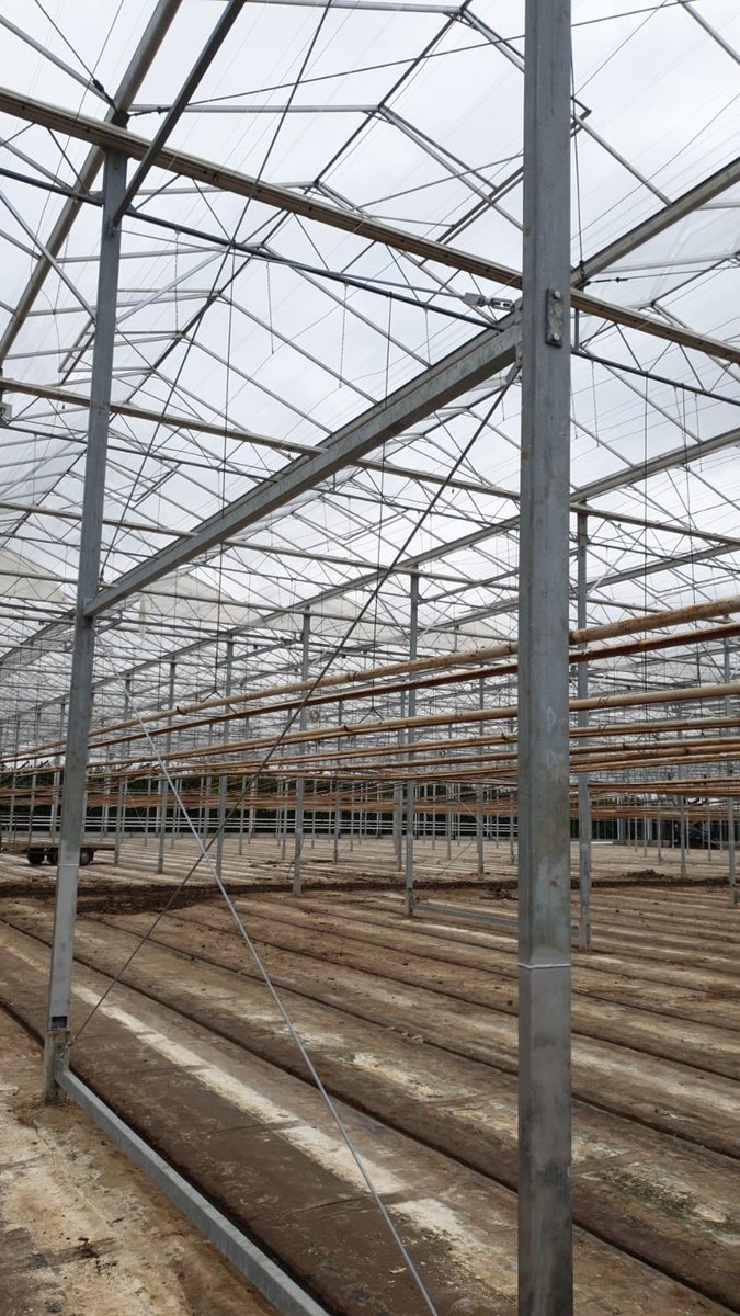 TCvdDoolBV's tweet image. T.C. v.d. Dool B.V. heeft bij Bestpeppers de kas ( 8.600 m²) opgehoogd van 5.0 m naar 5.85 m.
Bestpeppers Beheer is zeer tevreden met het resultaat.
Ook interesse om uw kas te renoveren c.q. op te hogen?
info@tcvddool.nl of bezoek tcvddool.nl