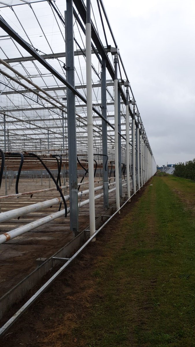 TCvdDoolBV's tweet image. T.C. v.d. Dool B.V. heeft bij Bestpeppers de kas ( 8.600 m²) opgehoogd van 5.0 m naar 5.85 m.
Bestpeppers Beheer is zeer tevreden met het resultaat.
Ook interesse om uw kas te renoveren c.q. op te hogen?
info@tcvddool.nl of bezoek tcvddool.nl