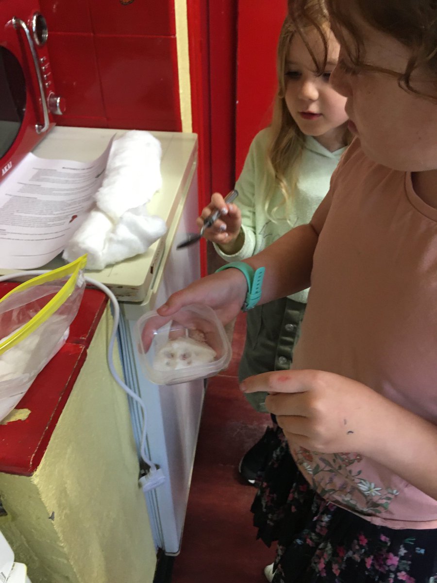 smnbereisland's tweet photo. Our peacock butterfly emerged today to great excitement! We had to research what to feed it next! #metamorphosis #ScienceAtSchool #NatureAtSchool #ActiveLearning #BereIsland @PDSTPrimarySTEM https://t.co/DYldQDo97p