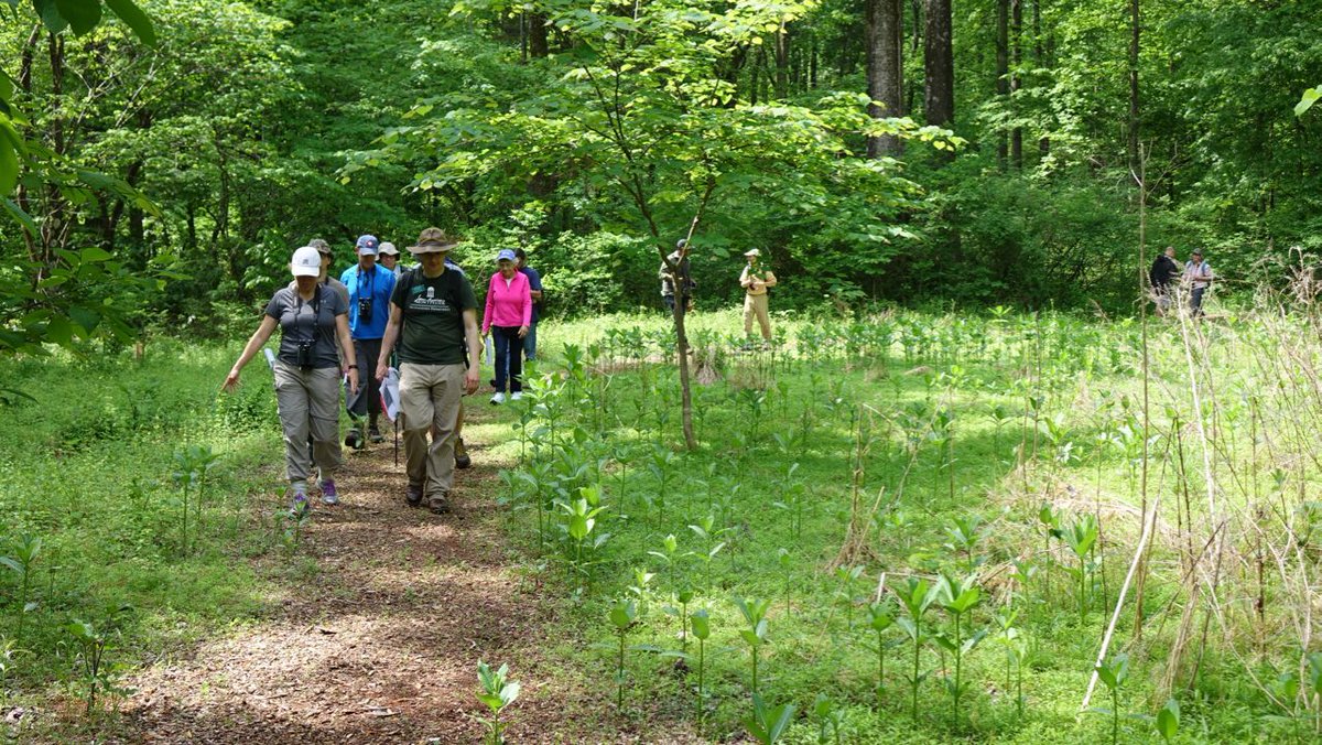 JMMontpelier's tweet photo. Celebrate #fall with a #woodswalk at #Montpelier on Oct. 16!
https://t.co/DnBNLv2zgk
#trails #hikingtrails #hike #walking #exploreva #forest #nature #naturelover #MyMontpelier #HistoricHomes #history #AmericanHistory #VAMuseums #VAFoothills @SavingPlaces @VisitVirginia https://t.co/Me9k1Clgrj