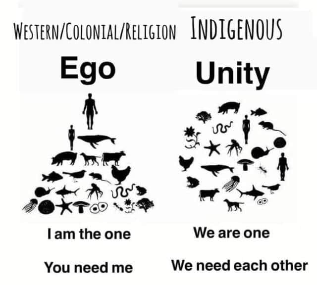 Turtle Island Native (@turtleislandna1) on Twitter photo 