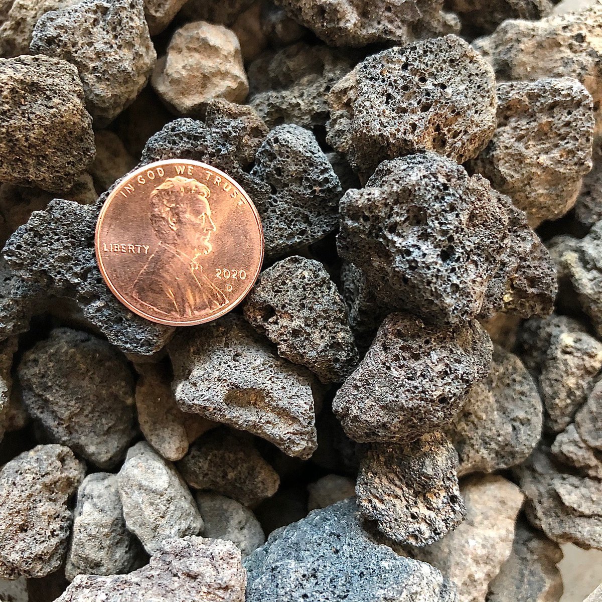 cinderite's tweet photo. Cinderite ParaHydro is a 1/2” plus grow medium ideal for hydroponic and aquaponic applications. ParaHydro enhances the biophysical nature of a controlled growing environment and stimulates plant growth. https://t.co/RJu5e7O5o1