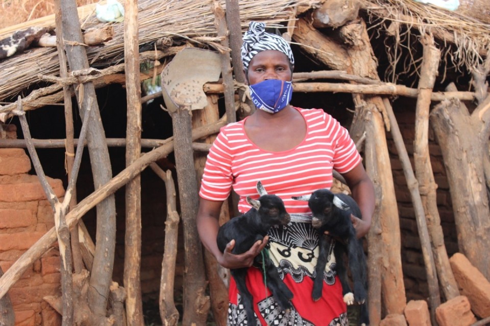 UN Women (@un_women) on Twitter photo "I have learned innovative ways of overcoming #climatechange problems."
Georgina Eunice Gama is one of 10,100 Malawian women farmers who has adopted climate smart modern farming technology with support from <a href="/unwomenafrica/">UN Women Africa</a>.
👉unwo.men/cQyo50GmsRE
📸 Godfrey Pumbwa/AICC "I have learned innovative ways of overcoming #climatechange problems."
Georgina Eunice Gama is one of 10,100 Malawian women farmers who has adopted climate smart modern farming technology with support from <a href="/unwomenafrica/">UN Women Africa</a>.
👉unwo.men/cQyo50GmsRE
📸 Godfrey Pumbwa/AICC