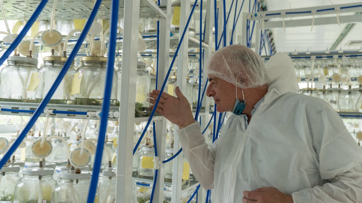Cannabis en Biofábrica Misiones: producirá vitroplantas clonales para garantizar la genética

Lee ACÁ 👉 bit.ly/2ZWxhVr