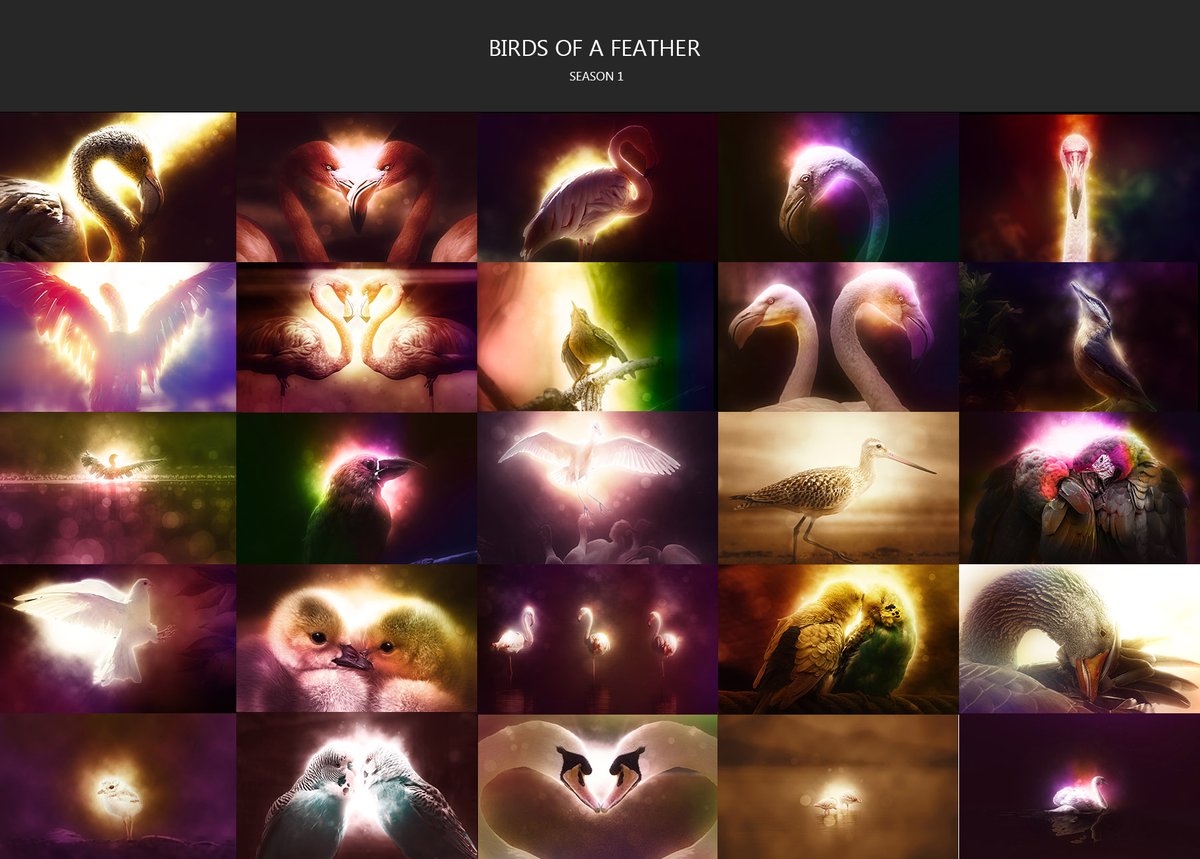Announcing "BIRDS OF A FEATHER" - My Genesis collection. This collection celebrates the beauty of birds and how they are connected through energy by use of color. 

All priced at 0.1 $ETH

Now available → opensea.io/collection/bir…