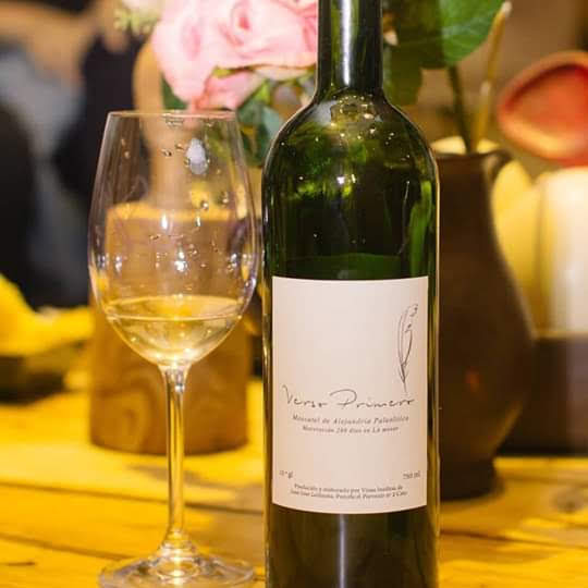 Oranges and Special Oranges: Reptilano, Orange wine + biological ageing; Verso Primero, full grape 280 days on skins