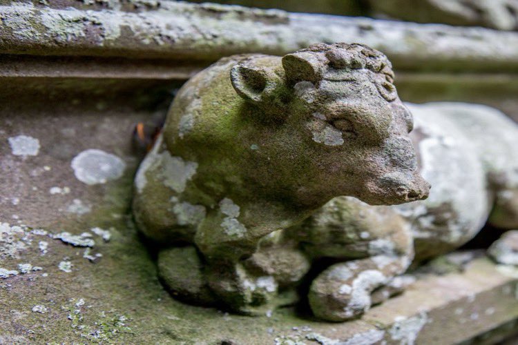 HistChurchScot's tweet photo. You got there first @jeelyeater1!

James Ritchie’s prize bull at #Tibbermore Church is a favourite with visitors. A sleepy, docile fellow, we think he’s rather distinguished. 
#animalsinchurcheshour 
#AnimalsOutsideChurches https://t.co/s4j2UWy2mG