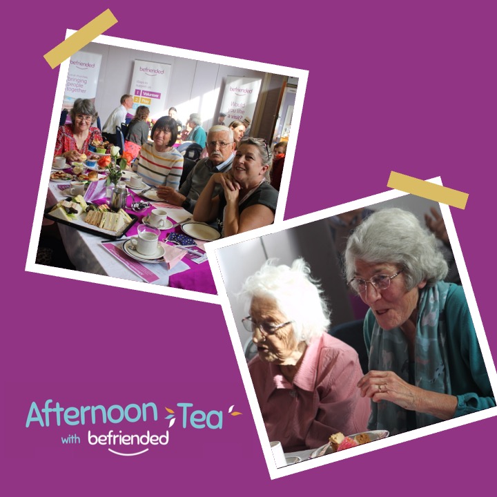 Befriended tweet media