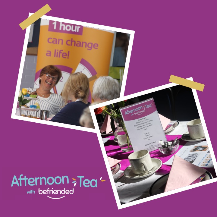 Befriended tweet media