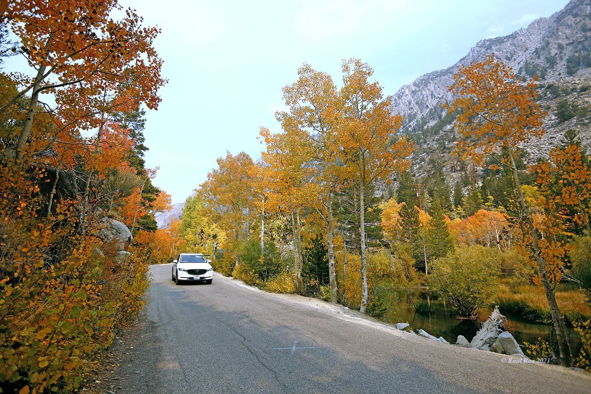 Raul Roa tweet media