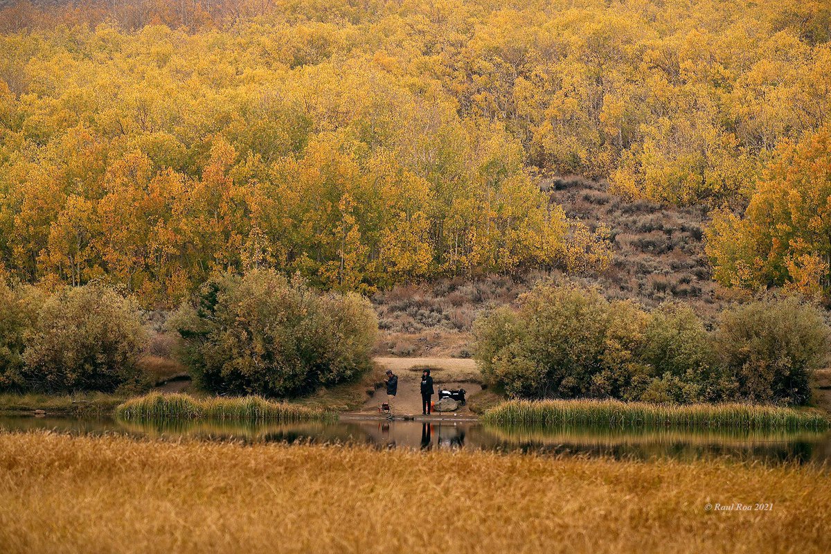 Raul Roa tweet media