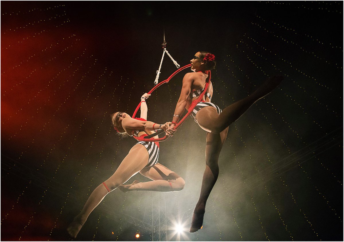 space_plans's tweet photo. If youโre interested in learning circus skills, or youโre looking for new ways to improve your working attitude, then be sure to keep an eye out for our app which is coming soon ๐๐ https://t.co/6PAPF3ZA4E
#circusinspiration #circusinternational #circusfitness #circusstrong https://t.co/D4RcID2H9V