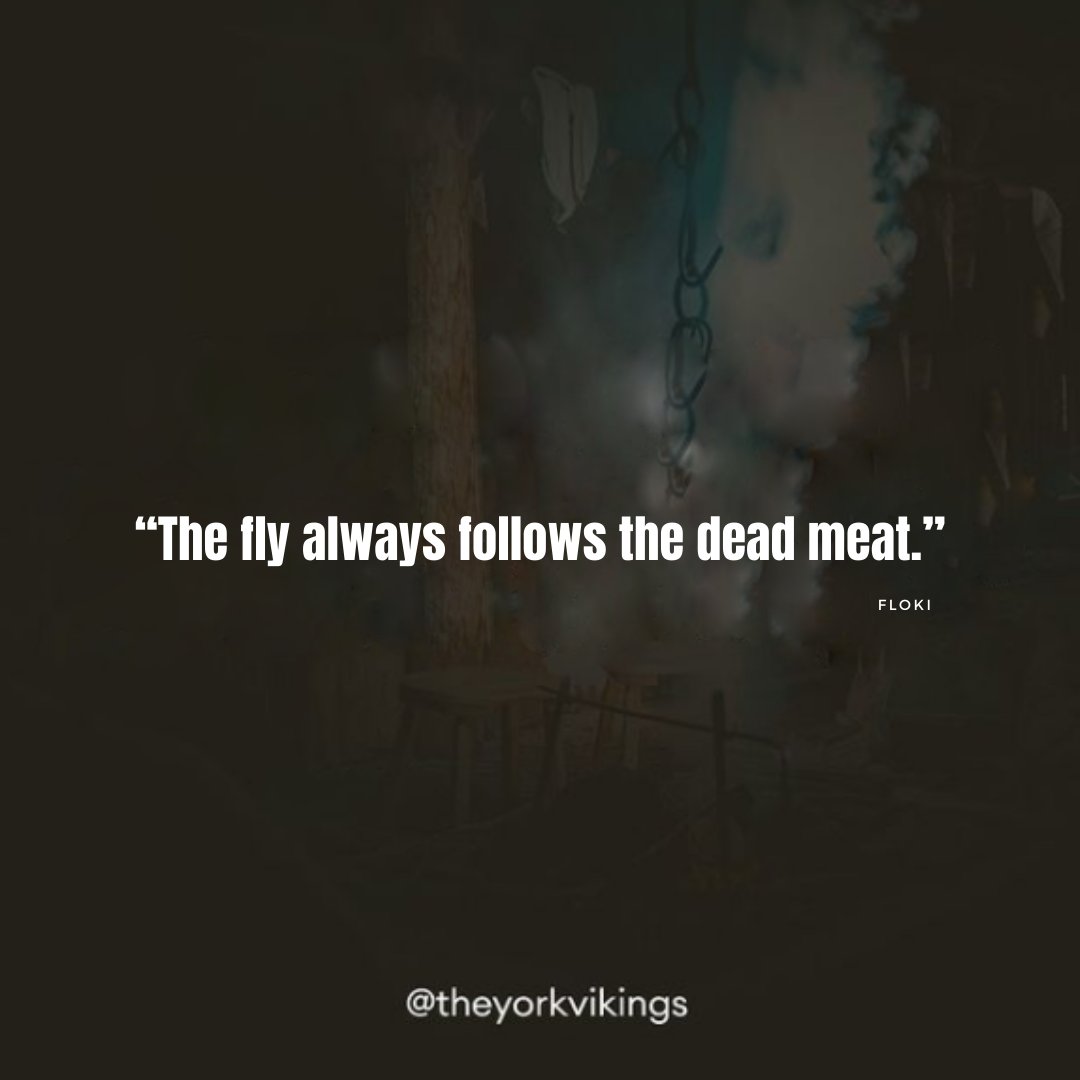 theyorkvikings's tweet photo. “The fly always follows the dead meat.” - Floki
.
.
.
.
#quotes #vikingquotes #flokiquotes #flokiedit #flokivikings #flokitheboatbuilder #flokitattoo https://t.co/NRn2Wx5c4R