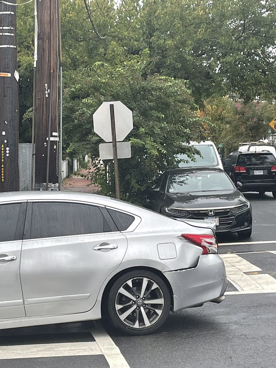 creidsboe's tweet photo. Good morning @311DCgov @DDOTDC @DCDPW this bush/tree situation is covering the stop sign on 15th and U SE. It is difficult for traffic approaching from U street side to see the sign and stop before the crosswalk #WalktoSchoolDay #EveryBlockCounts https://t.co/9Vg3m2CgKu