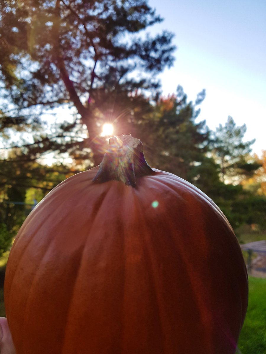 HeyItsMeMissJT's tweet photo. I'm so glad I live in a world where there are Octobers! #GoldenMornings #WednesdayVibes #AutumnStateOfMind #SunnySideUp #ItsAGoodDay #MinnowLake #WalksToWork #MyCardio ππβοΈπππ₯Ύ https://t.co/m72Ti0W03I