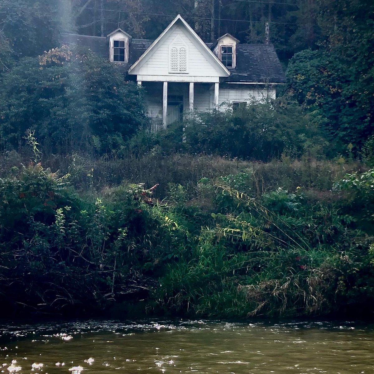 watercolorwes's tweet photo. South Fork New River #flyfishingjunkie … beautiful fall color already. #flyfishing requires that you use your teeth btw. #newriver #toddnc #delayedharvest #troutunlimitedwomen #troutunlimited #ncartist #weswaugh #boonenc #appstate https://t.co/bB0W3Nc540