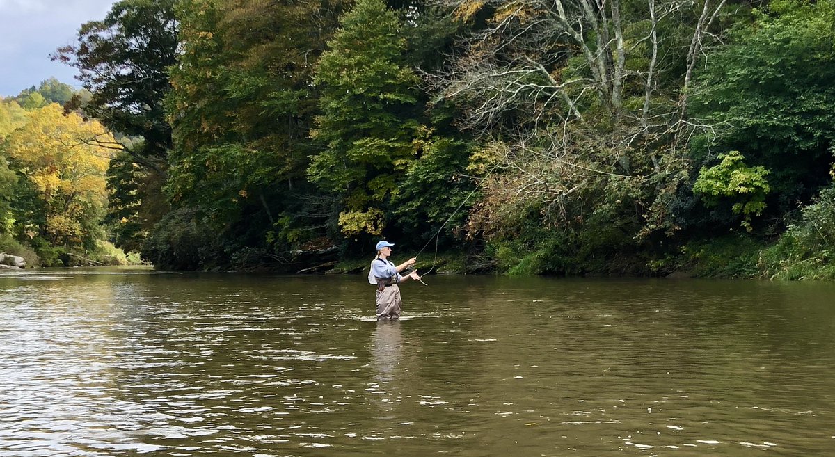 watercolorwes's tweet photo. South Fork New River #flyfishingjunkie … beautiful fall color already. #flyfishing requires that you use your teeth btw. #newriver #toddnc #delayedharvest #troutunlimitedwomen #troutunlimited #ncartist #weswaugh #boonenc #appstate https://t.co/bB0W3Nc540