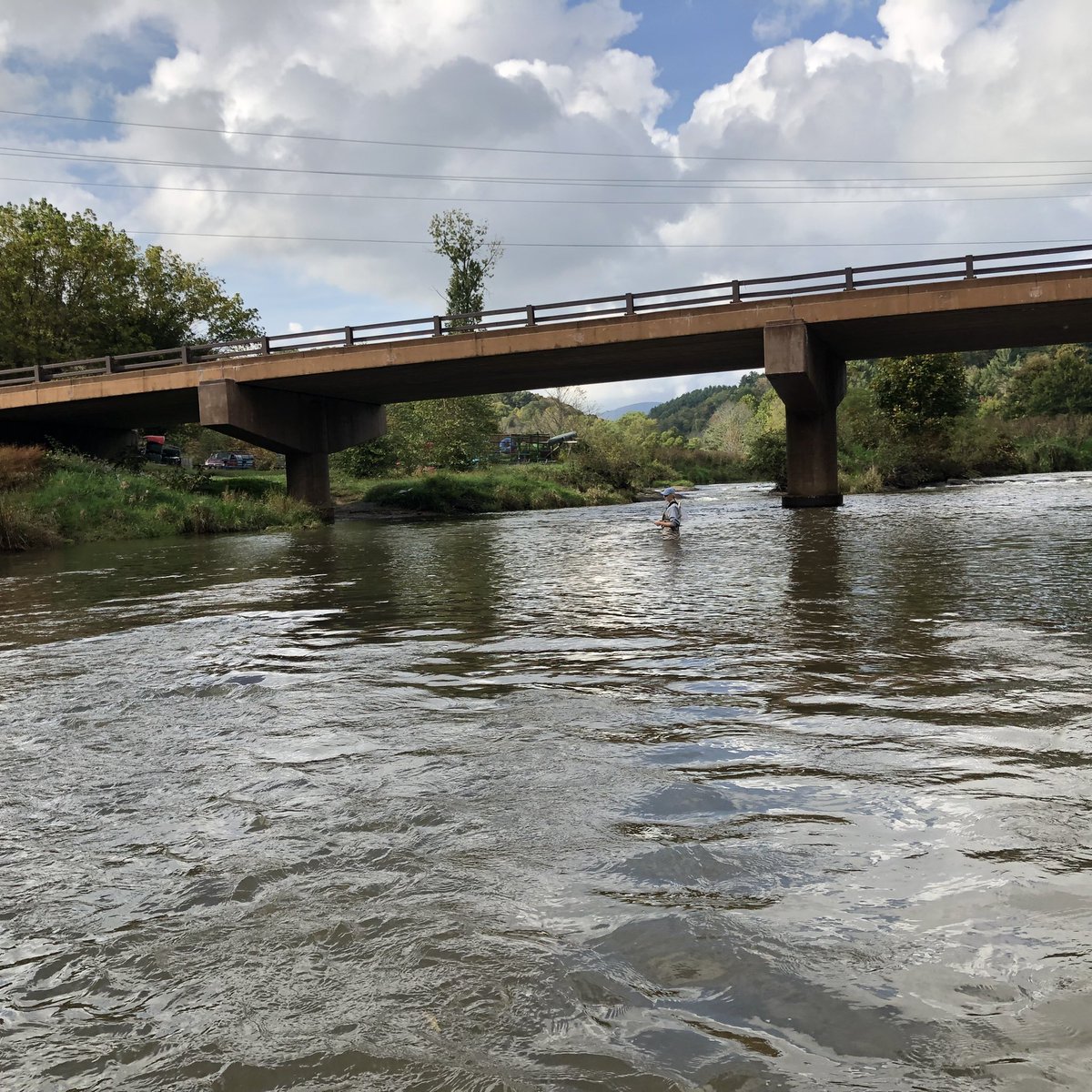 watercolorwes's tweet photo. South Fork New River #flyfishingjunkie … beautiful fall color already. #flyfishing requires that you use your teeth btw. #newriver #toddnc #delayedharvest #troutunlimitedwomen #troutunlimited #ncartist #weswaugh #boonenc #appstate https://t.co/bB0W3Nc540