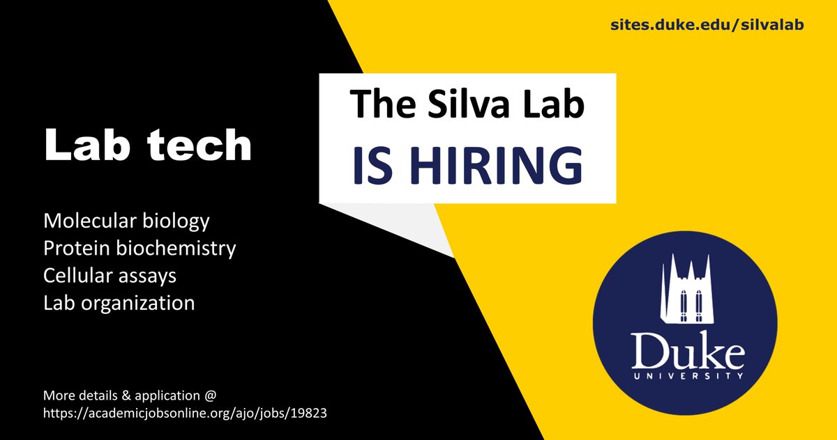 Silva Lab at Duke - @thesilvalab.bsky.social (@thesilvalab) on Twitter photo Hi twitter, can you help us advertise that our lab <a href="/DukeU/">Duke University</a> is hiring a laboratory technician (and postdocs) to work on our newly funded NIH project? We investigate how cells use ubiquitin to respond to oxidative stress. Interested candidates please apply at tinyurl.com/silvalab Hi twitter, can you help us advertise that our lab <a href="/DukeU/">Duke University</a> is hiring a laboratory technician (and postdocs) to work on our newly funded NIH project? We investigate how cells use ubiquitin to respond to oxidative stress. Interested candidates please apply at tinyurl.com/silvalab