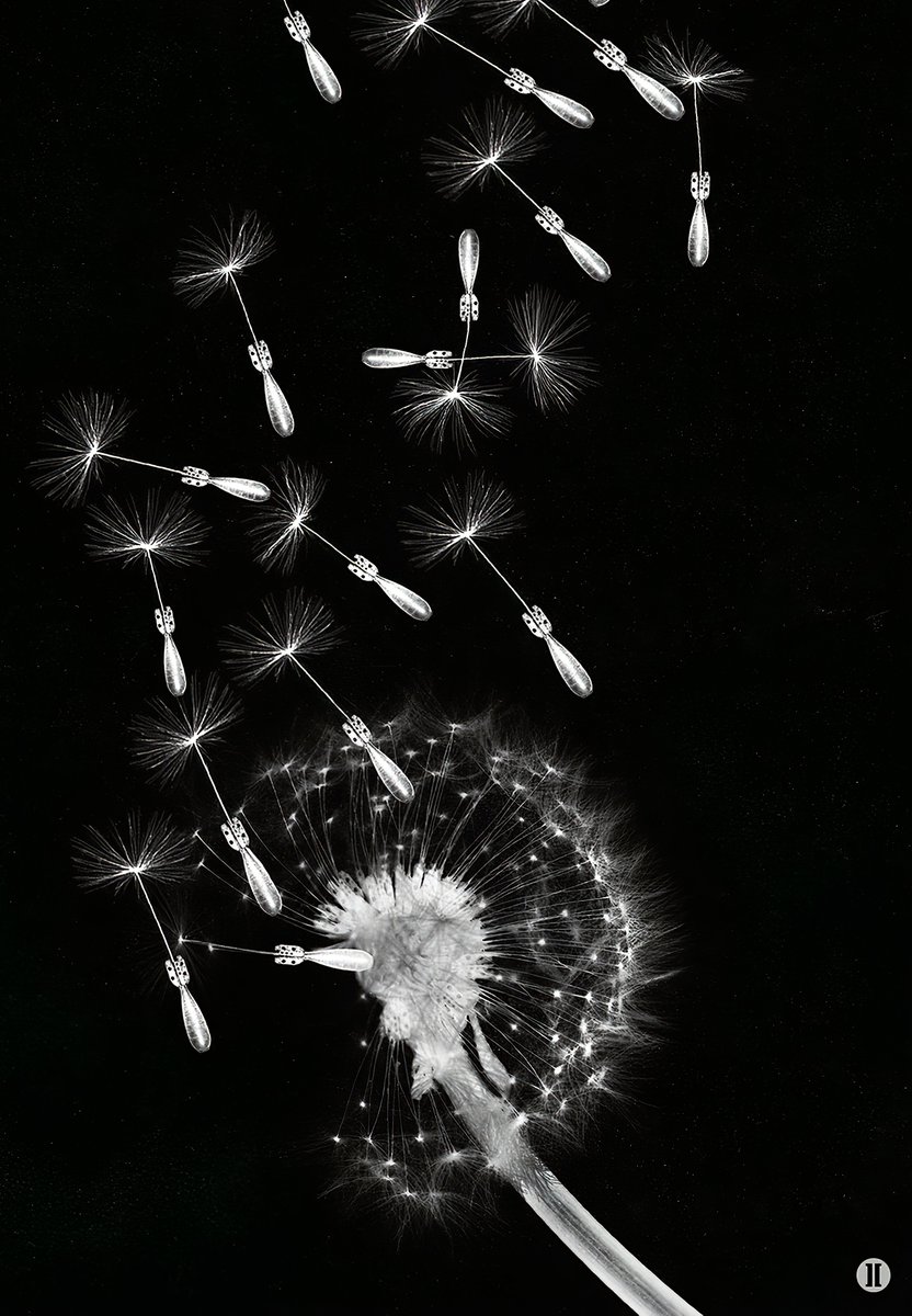 Some work haunts us even after the show is packed away - like this piece by Syrian artist, Imranovi

What art has stayed with you?

🎨 Imranovi's Random (2013) - limited edition print available in our online shop artrepresent.com

In collaboration with Art Represents