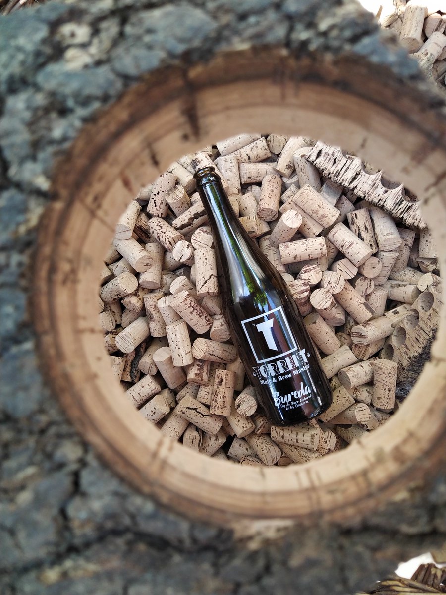 productorscat's tweet photo. La #Sureda de @TORRENTBeerCat és una explosió de tardor! Entre els ingredients hi ha ceps, gla, castanya, mel de bruc... A més, va tapada amb suro natural!
La tastem? 😉🍺👇
https://t.co/nxv0zNgcNQ
#CultivemElCanvi 🌿#ProductorsCatalans #TorrentBeer #Cervesa https://t.co/M8mUKm5kNj