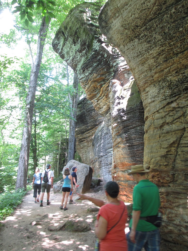 Naturevation Tours tweet media