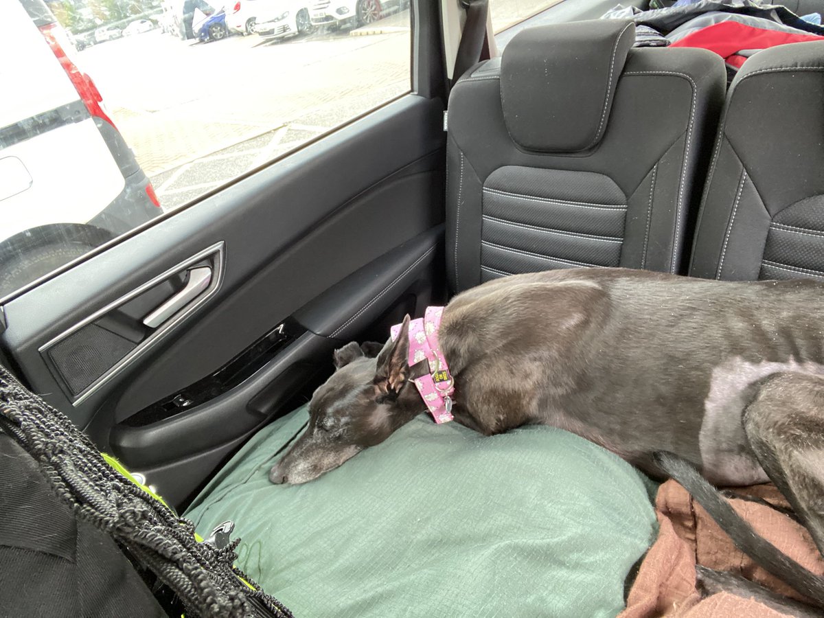 It has been confirmed that my little babyLottie has aggressive renal cancer.So its surgery which she may not survive+chemo to give her a little more time or keep her happy and pain free on drugs but enjoy the rest of her life with us.Cancer is such a hateful thing💔