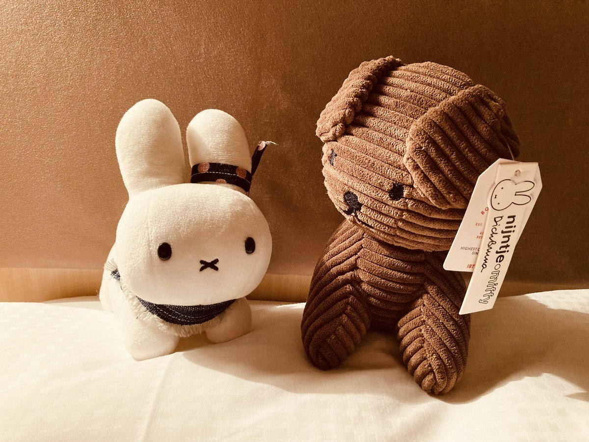 ohisamanotikara's tweet photo. 明日の準備をするみひ。
スナッフィーは、明日どこかにお出かけするみたいだよ。
#miffy #Snuffie https://t.co/qTHNKnJTZN