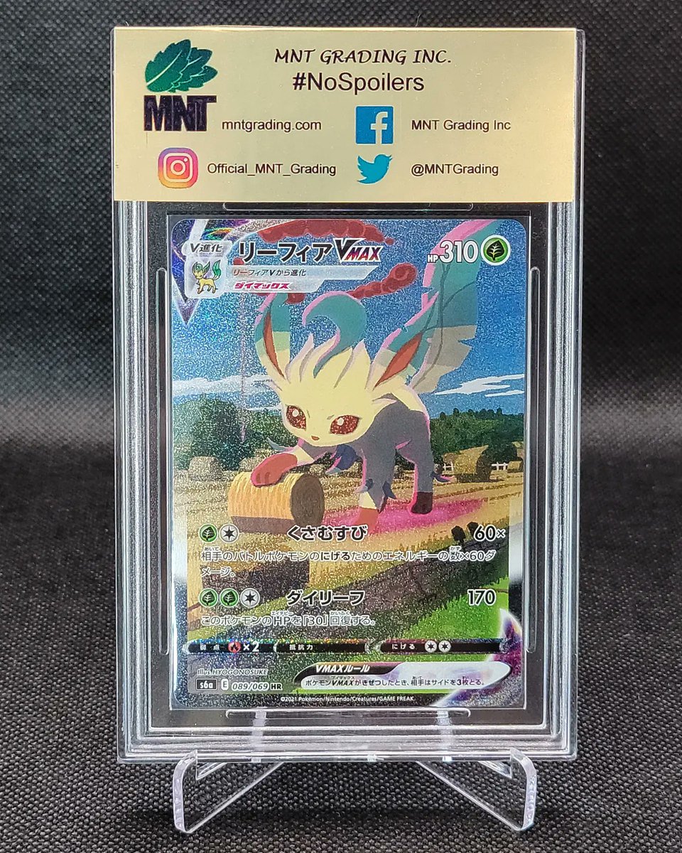 MNTGrading's tweet photo. Stunning cards! 🔥🔥
#mntgrading #nospoilers #mnt #pokemon #japanese #dragonite #leafeon #eeveeheroes #blueskystream https://t.co/gQySRqiGvC