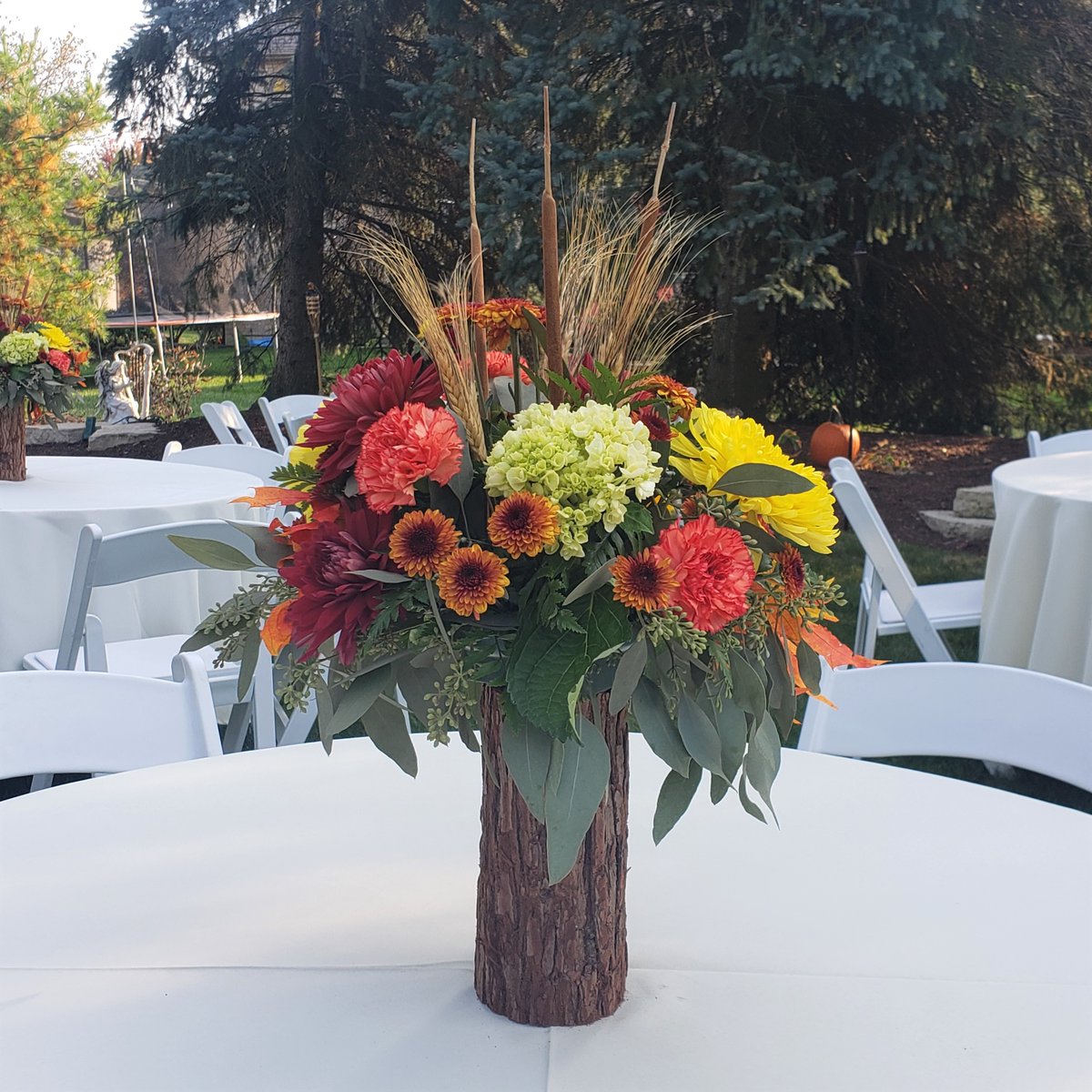 barbaraselegant's tweet photo. It was such a pleasure to plan this #fall inspired #engagement party !
#weddingplanner #eventdesigner #coodination #rentals #DownersGrove 
@PonteDebra @KimSimons2 @rituvats20 @CesPlantsRey @VesnaBaric @Holiday_Hearts @SisLittlewolf @LITTLE_H_DESIGN @mistletoeus https://t.co/huSla7CECs