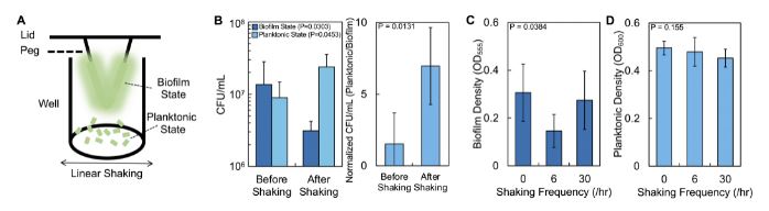 ASM (@asmicrobiology) on Twitter photo Periodically changing the spatial structure of a biofilm of P. aeruginosa strain PA14 using a physical force can reduce the production of the virulence factor pyoverdine. <a href="/mSystemsJ/">EIC Jack Gilbert</a> asm.social/6u Periodically changing the spatial structure of a biofilm of P. aeruginosa strain PA14 using a physical force can reduce the production of the virulence factor pyoverdine. <a href="/mSystemsJ/">EIC Jack Gilbert</a> asm.social/6u