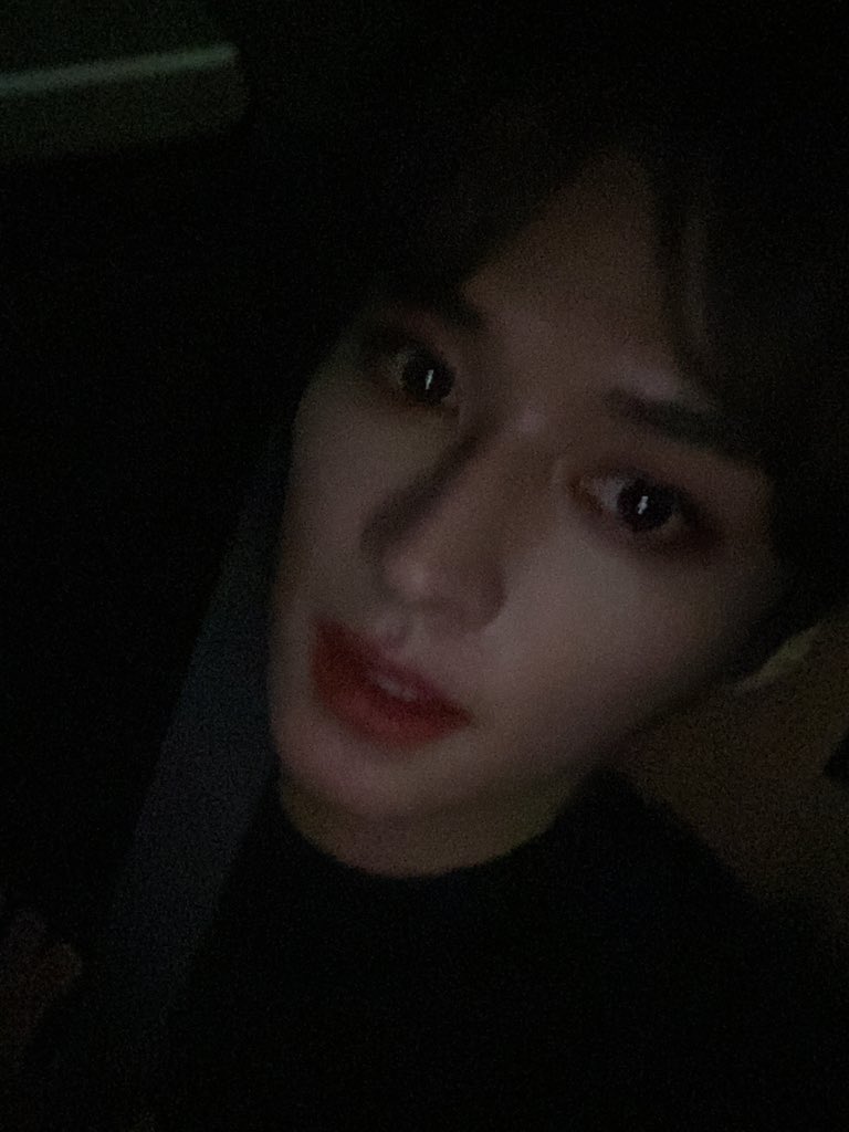 leehwxng's tweet photo. 아니 진짜 고양이잖아 이거 https://t.co/FzysuhjWUI
