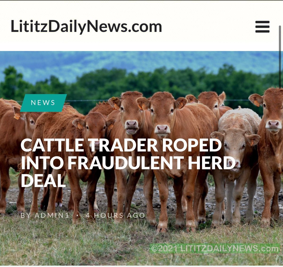 Cattle Trader Roped into Fraudulent Herd Deal; Police Seek Beef Tips #crime #cattle #cows #fraud #police #farming  #commodity #trader #broker #lancastercounty Read Story here: —&gt;tinyurl.com/3kps72hz